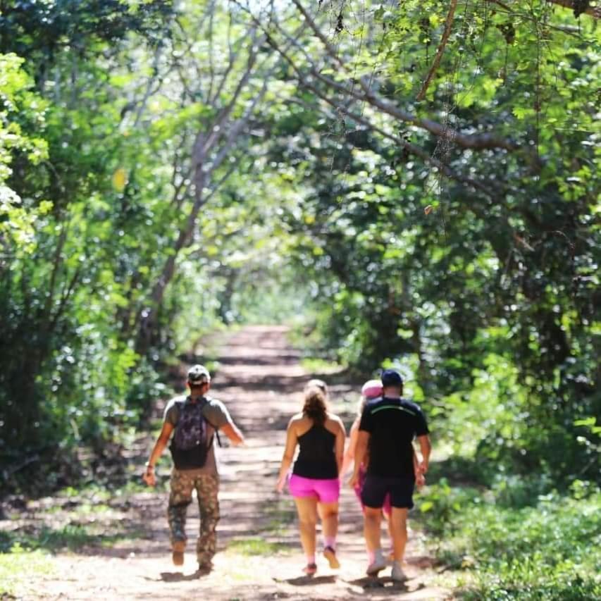 Arua Observacao De Vida Silvestre Praia do Forte Exterior foto